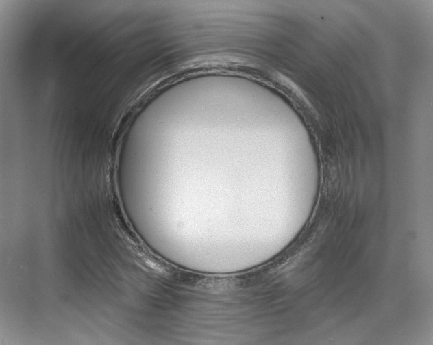 X0000074970778200609011015