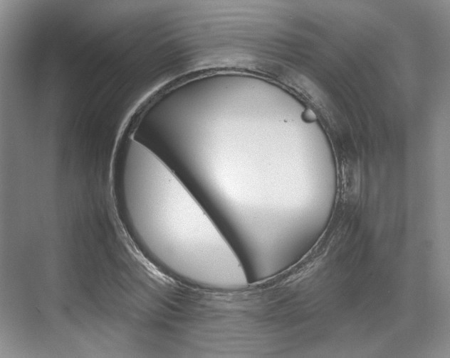 X0000074970780200609011015