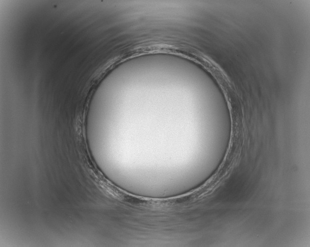 X0000074970785200609011015