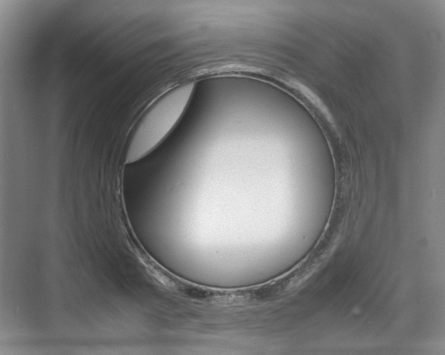 X0000074970793200609011015