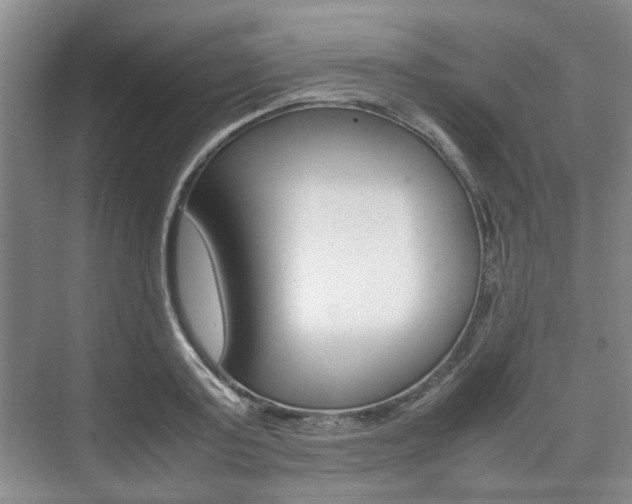 X0000074970795200609011015