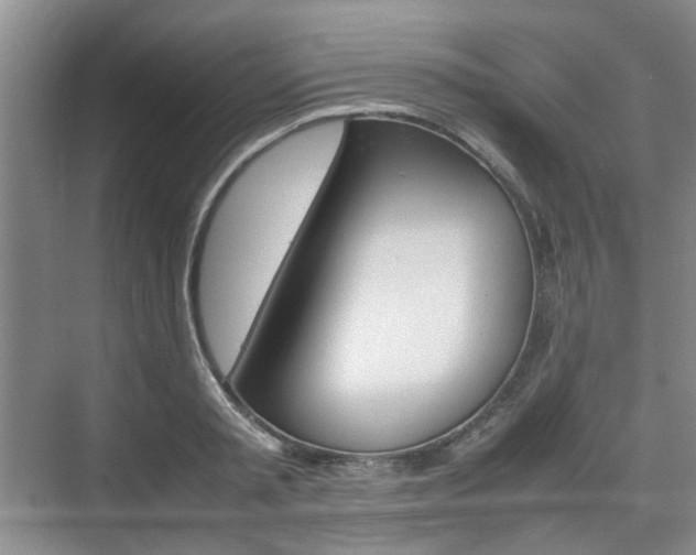 X0000074970797200609011015