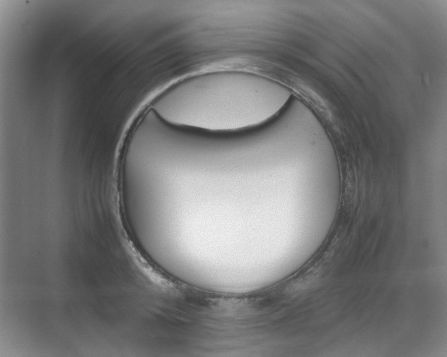 X0000074970800200609011015