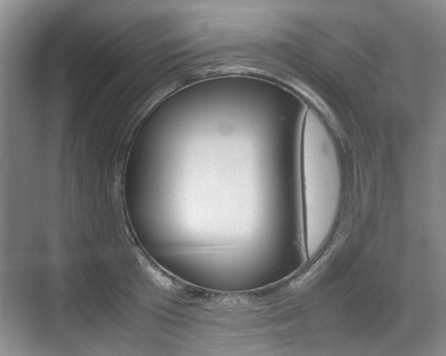 X0000074970801200609011015