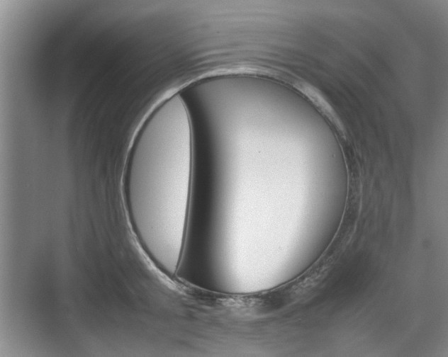 X0000074970805200609011015
