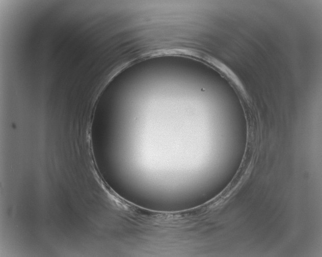 X0000074970809200609011015