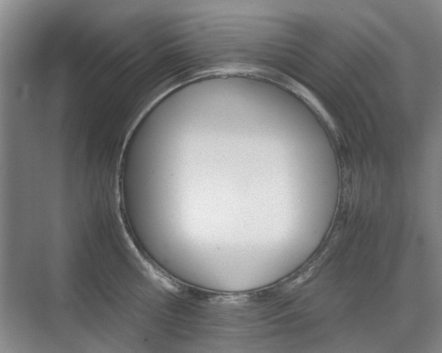 X0000074970810200609011015