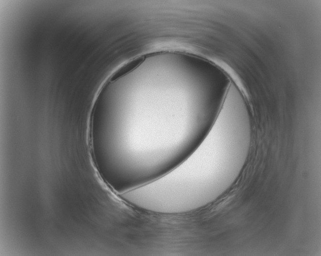 X0000074970815200609011015