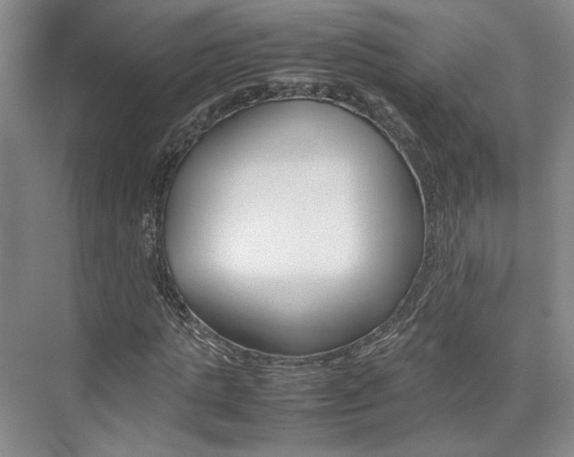 X0000074970821200609011014