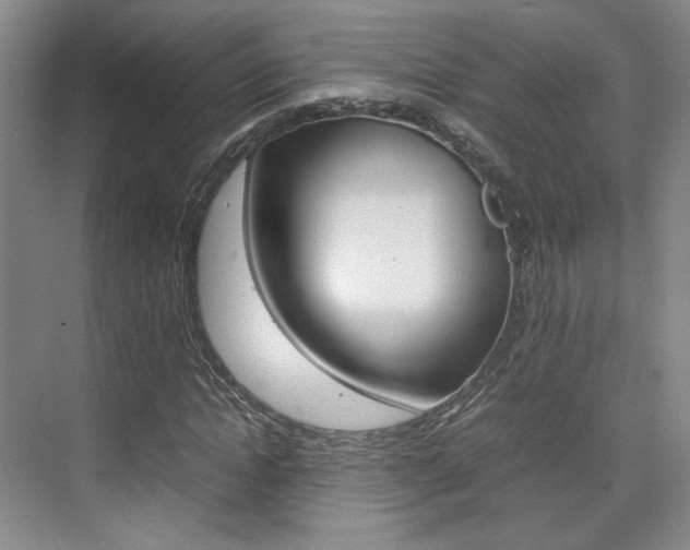 X0000074970822200609011014
