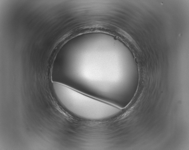 X0000074970826200609011014