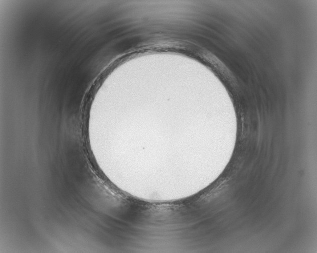 X0000074970828200609011014