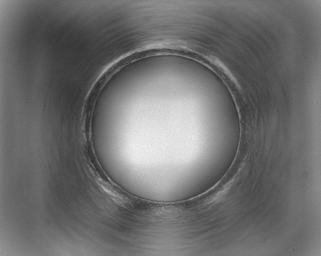 X0000074970830200609011014
