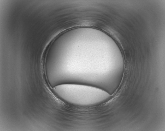 X0000074970835200609011014