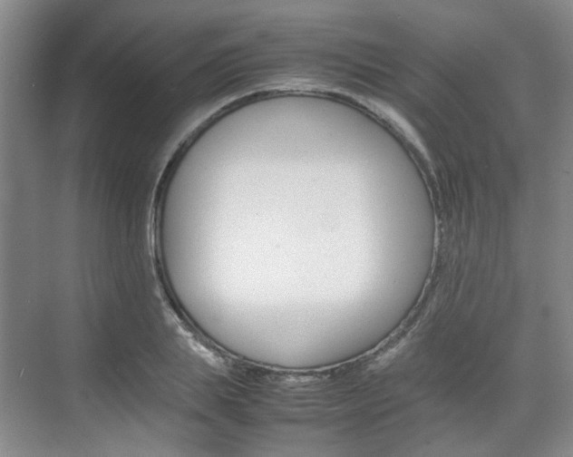 X0000074970839200609011014