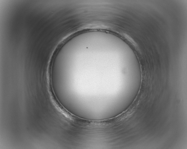 X0000074970840200609011014