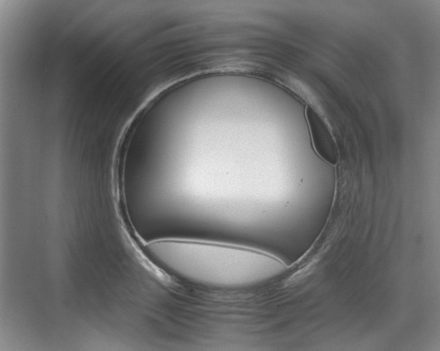 X0000074970843200609011014