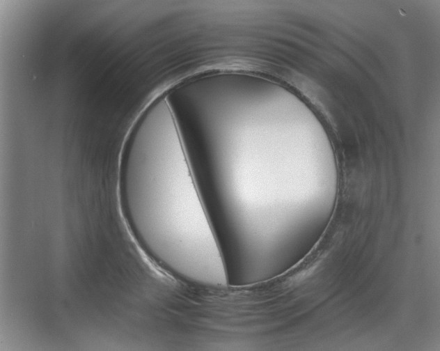 X0000074970845200609011014