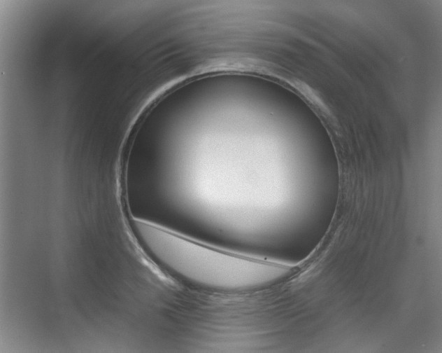 X0000074970846200609011014