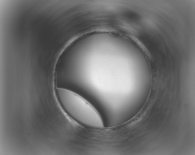 X0000074970853200609011014