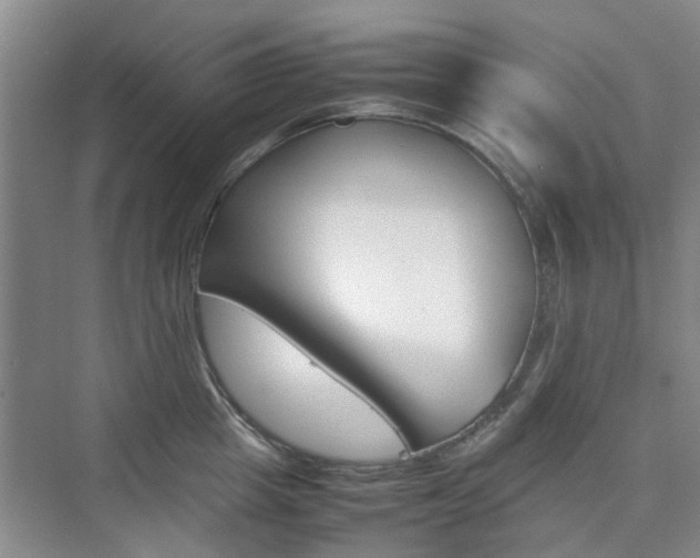 X0000074970857200609011014