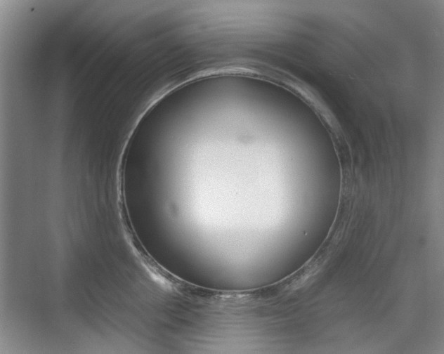 X0000074970858200609011014
