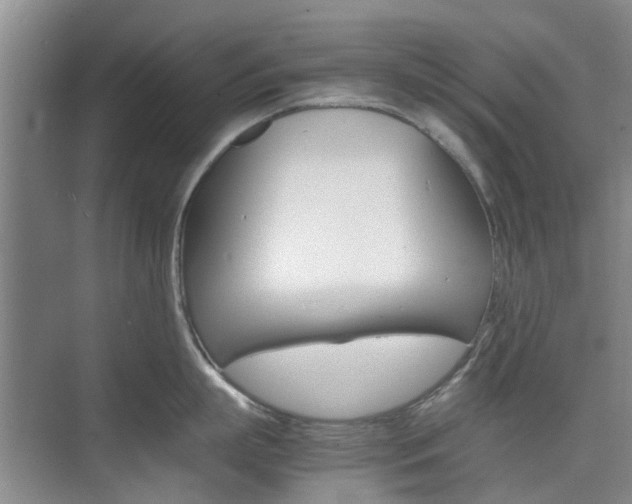 X0000074970863200609011015