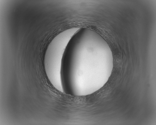 X0000074970865200609011014