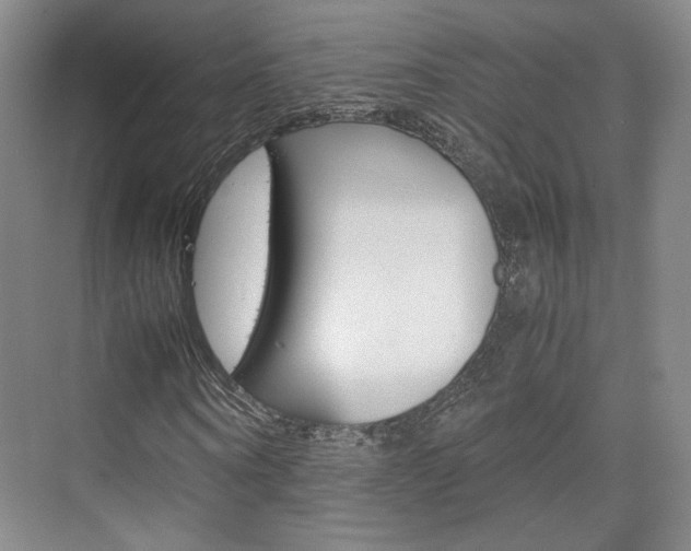 X0000074970866200609011014