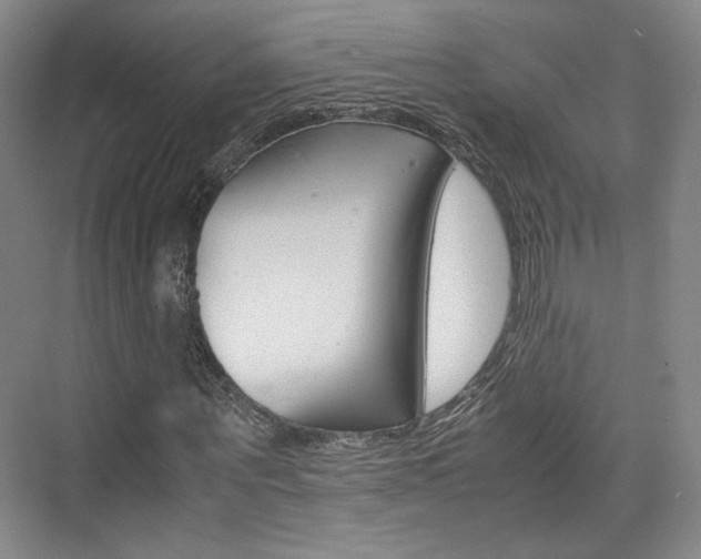 X0000074970867200609011014