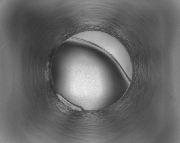 X0000074970868200609011014