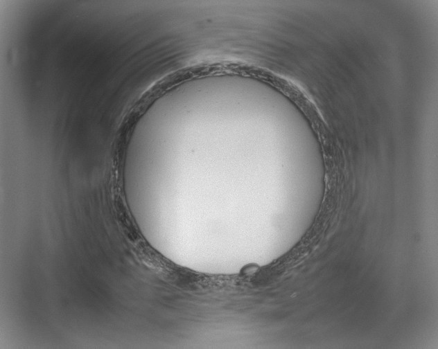 X0000074970871200609011014