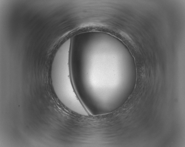 X0000074970872200609011014
