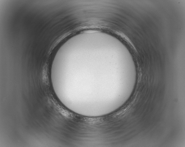 X0000074970874200609011014