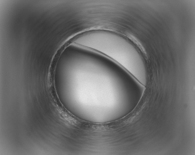 X0000074970876200609011014