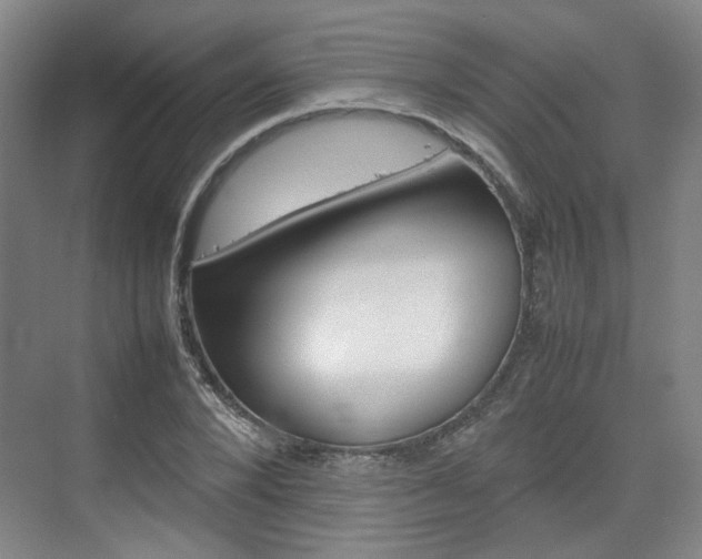 X0000074970880200609011014
