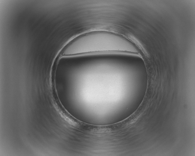 X0000074970884200609011013