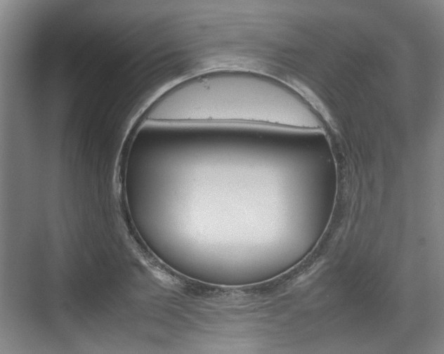 X0000074970885200609011013