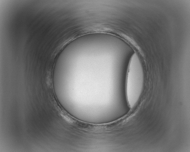 X0000074970889200609011013