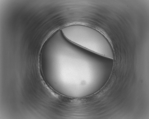X0000074970898200609011013