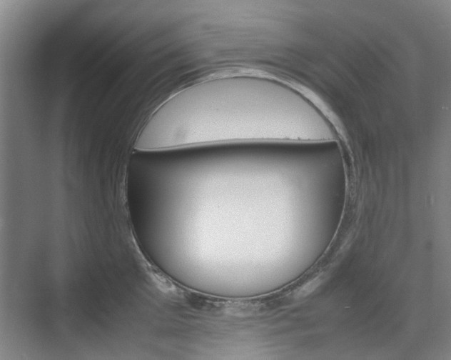 X0000074970905200609011013