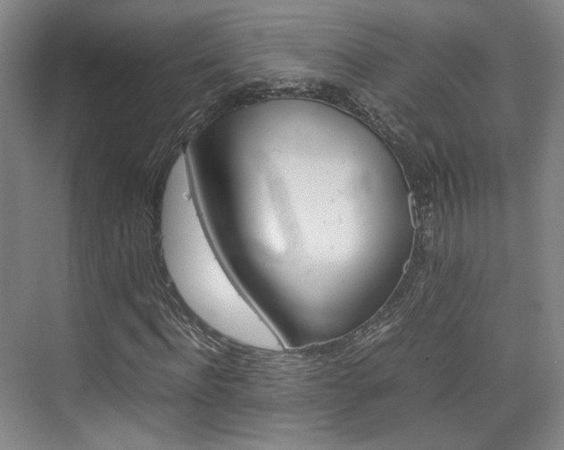 X0000074970916200609011012