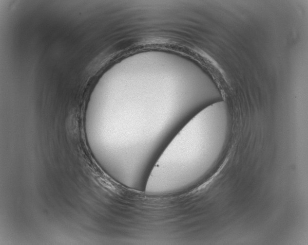 X0000074970921200609011012