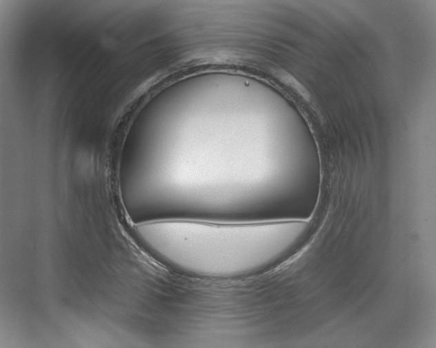 X0000074970922200609011012