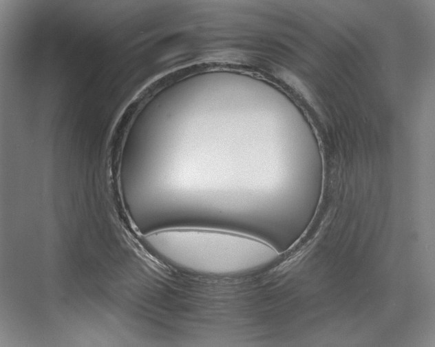 X0000074970923200609011012