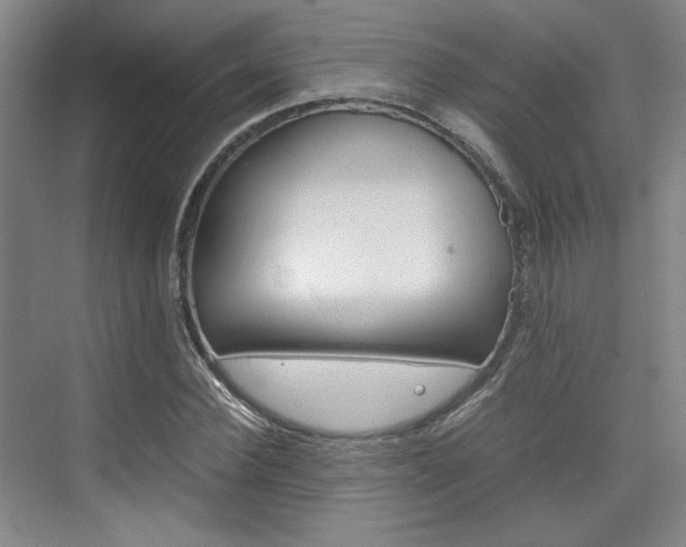 X0000074970924200609011012