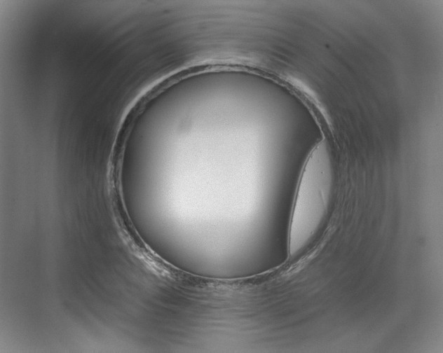 X0000074970928200609011012