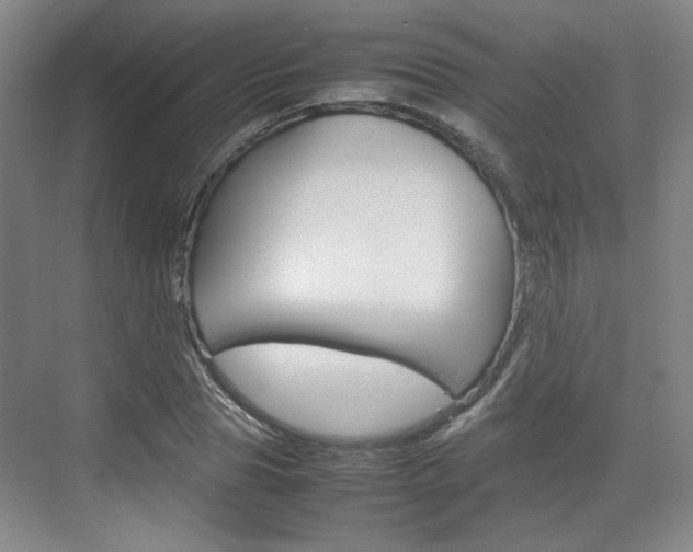 X0000074970929200609011012