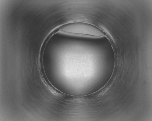 X0000074970932200609011012