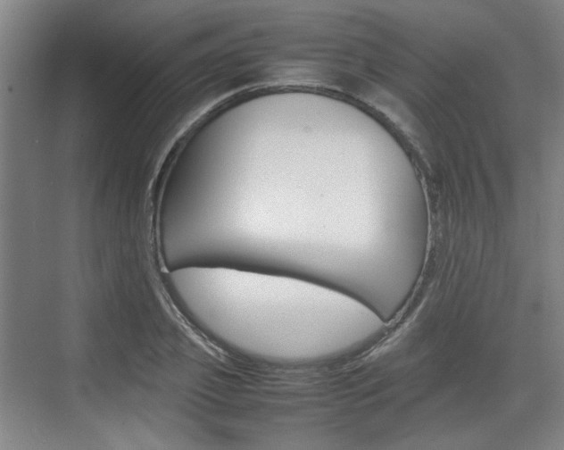 X0000074970933200609011012